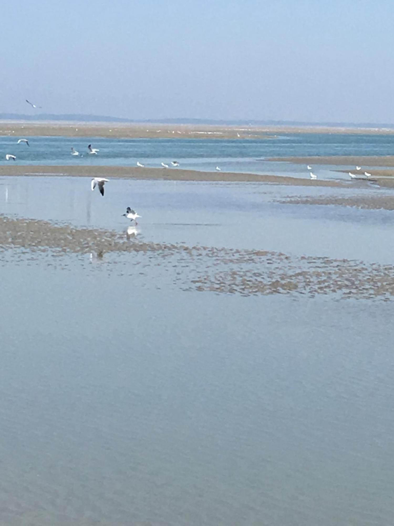 Maison De Pecheur Renovee A 3 Mn De La Mer. 滨海卡约 外观 照片