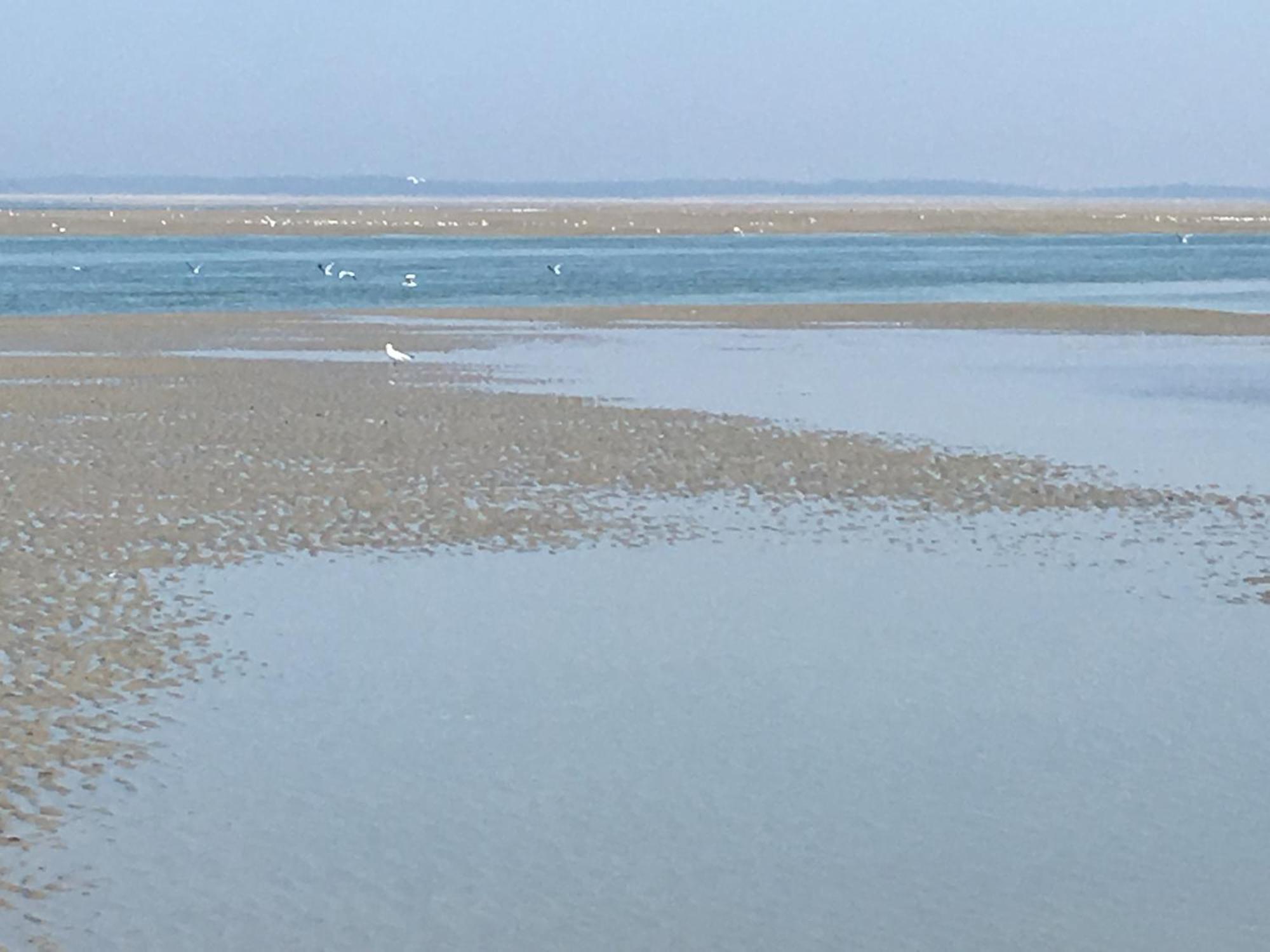 Maison De Pecheur Renovee A 3 Mn De La Mer. 滨海卡约 外观 照片